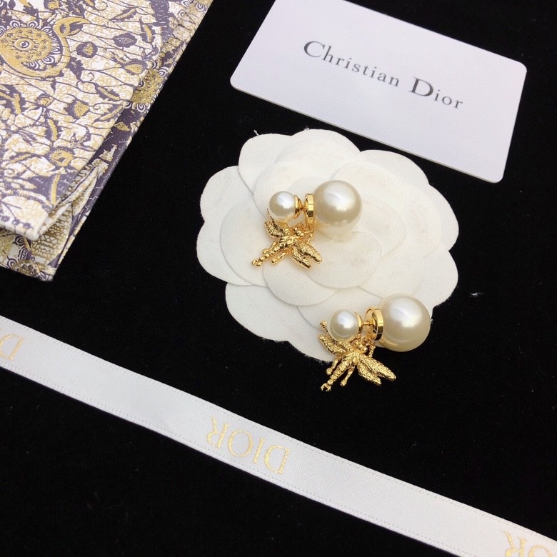 Christian Dior Earrings